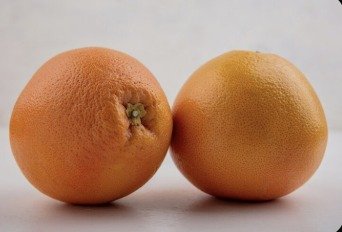 whatsapp image 2025 12 14 at 14.39.43 e6ba5b95