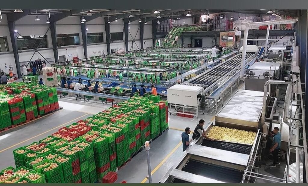 whatsapp image 2025 12 28 at 8.17.25 pm