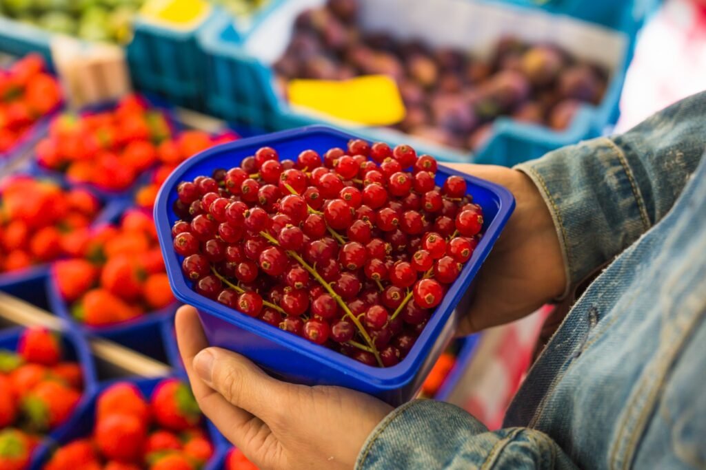close up person holding red currants crate hand