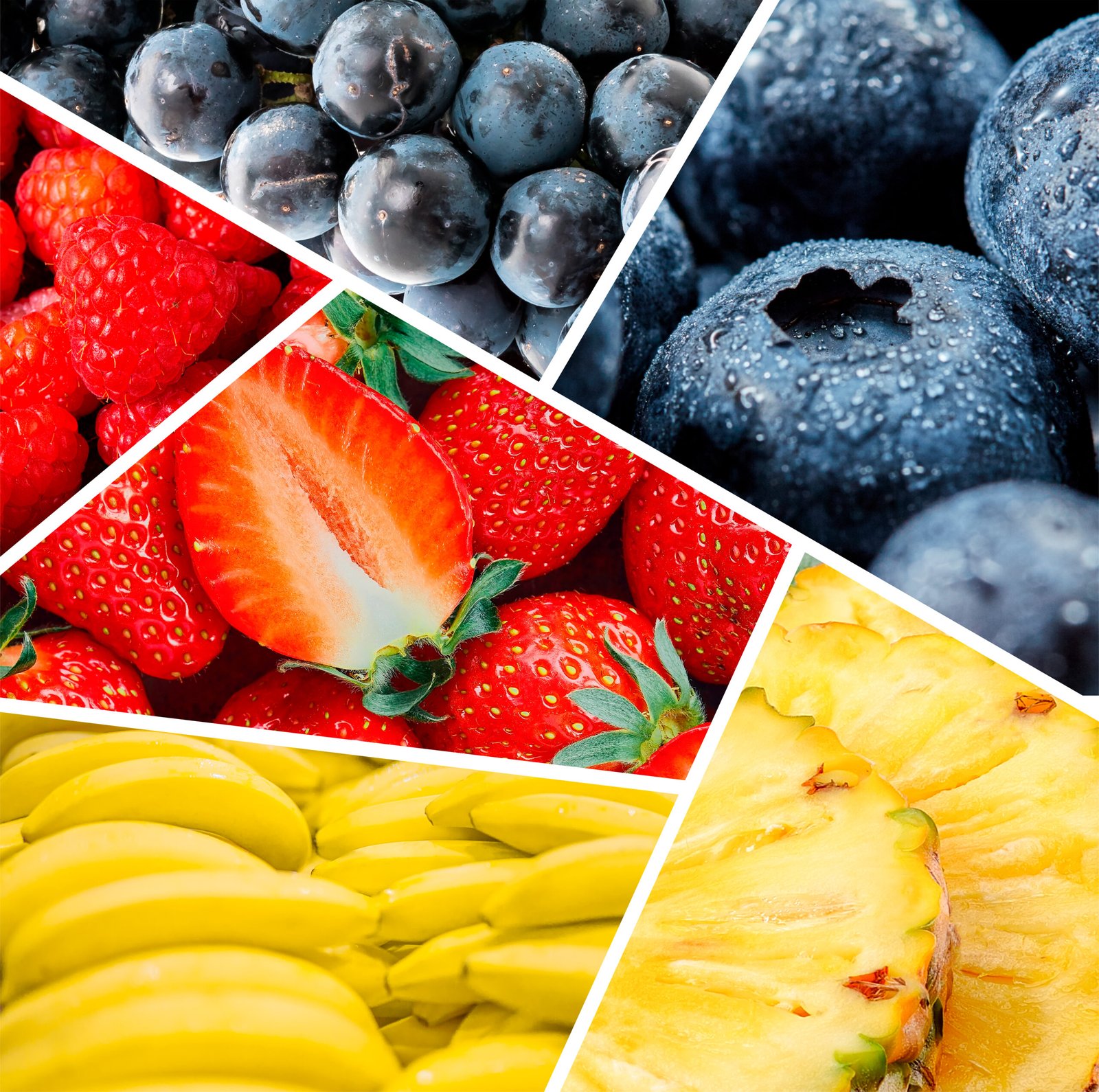 obra de arte e ilustración